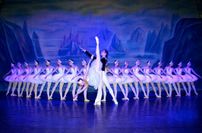 In Alsdorf und Euskirchen wird das Tanzmärchen "Schwanensee" aufgeführt.