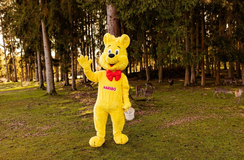 Der HARIBO Goldbär verteilte gemeinsam mit 110 Kindern Eicheln und Kastanien im Wildfreigehege von Hellenthal.