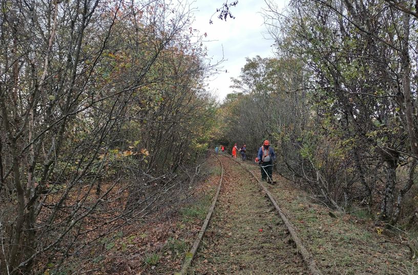 Ehrenamtliche schneiden zurzeit das sogenannte »Industriestammgleis« zum Gewerbegebiet bei Eul-gem frei.