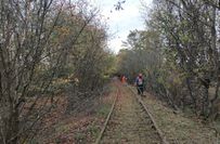 Ehrenamtliche schneiden zurzeit das sogenannte »Industriestammgleis« zum Gewerbegebiet bei Eul-gem frei.