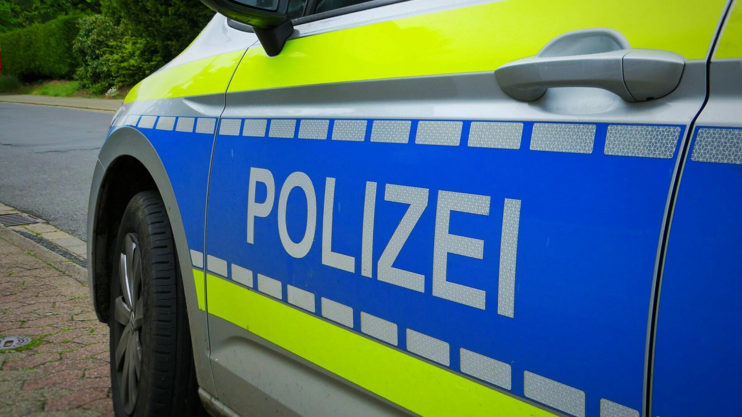 Der Hund starb noch an der Unfallstelle. Insgesamt waren drei Fahrzeuge an dem Unfall beteiligt.