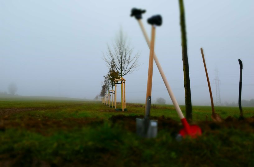 Auf Initiative der Landesregierung ist im Kreis Euskirchen ein landesweiter Gedenkort für die Opfer der Hochwasserkatastrophe am 14. und 15. Juli 2021 entstanden.